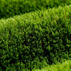 header-grass