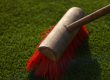 Royal Grass