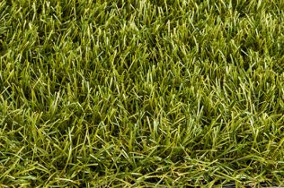 Royal Grass® Sense